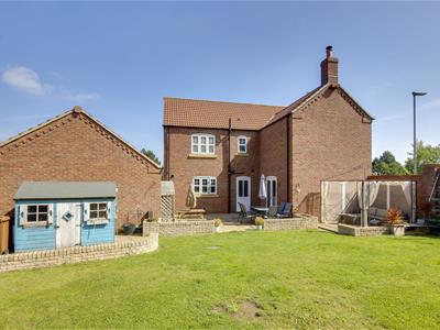 Picture 20
